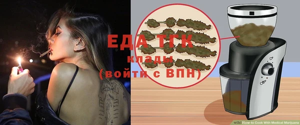 индика Арсеньев