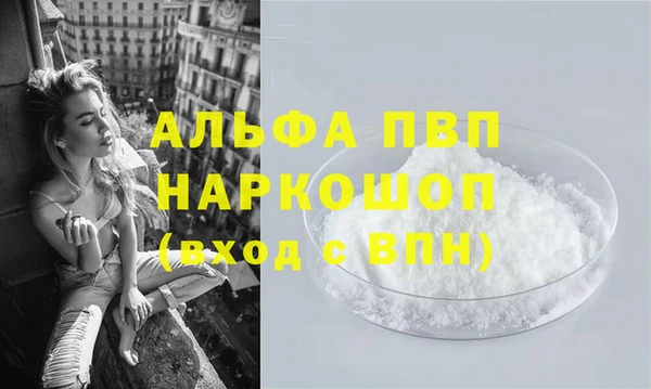 индика Арсеньев