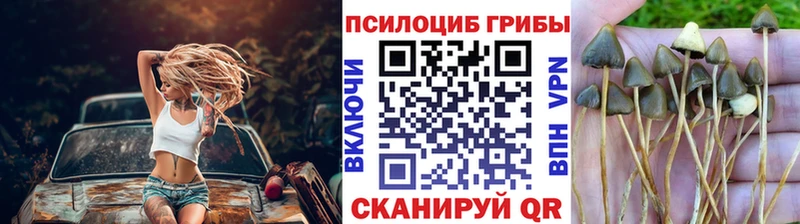 MEGA онион  Печоры  Галлюциногенные грибы ЛСД 